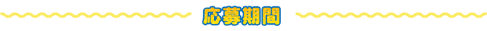 応募期間